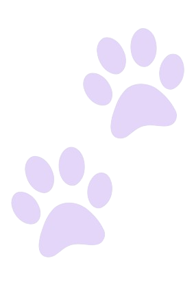Light purple background with two darker purple paw prints.